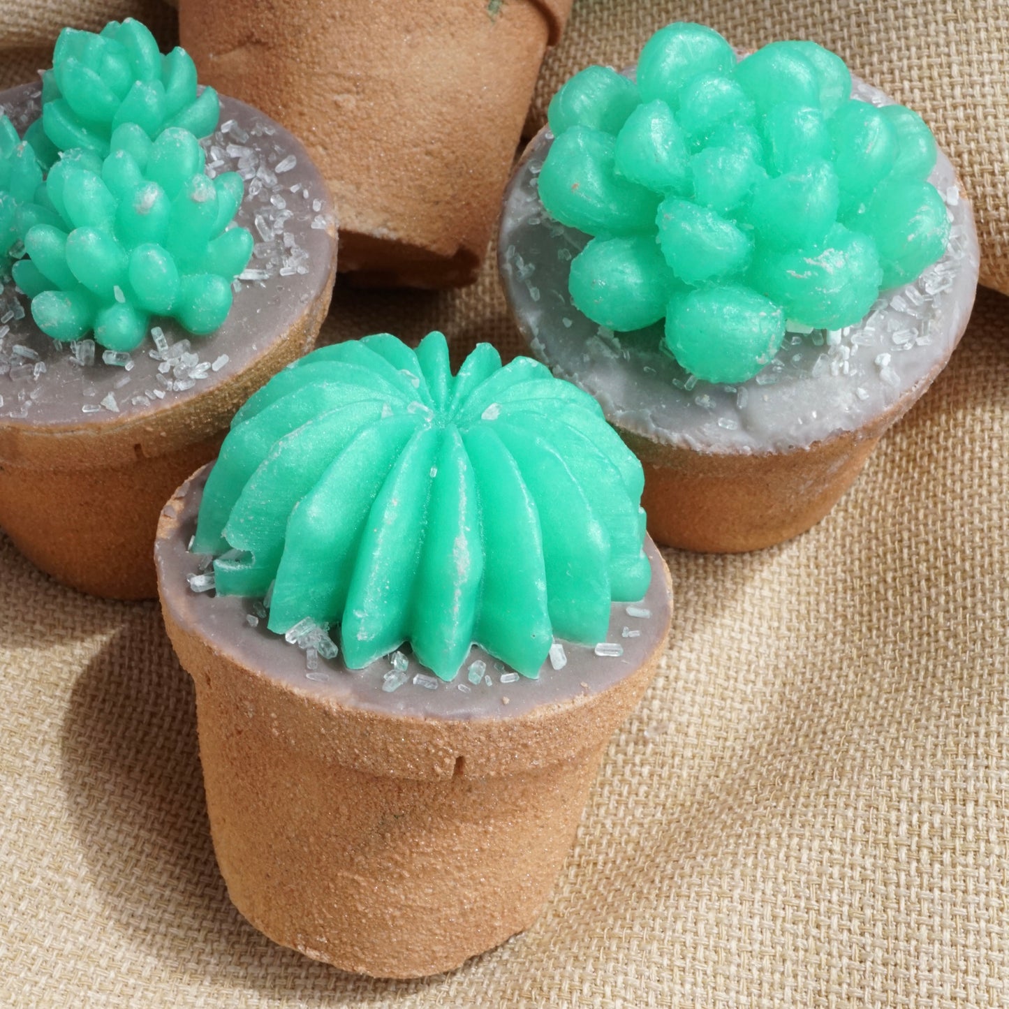 NEW Succulent Bath Bombs - Topped with Mini Soap, Cocoa Butter, Epsom Salt