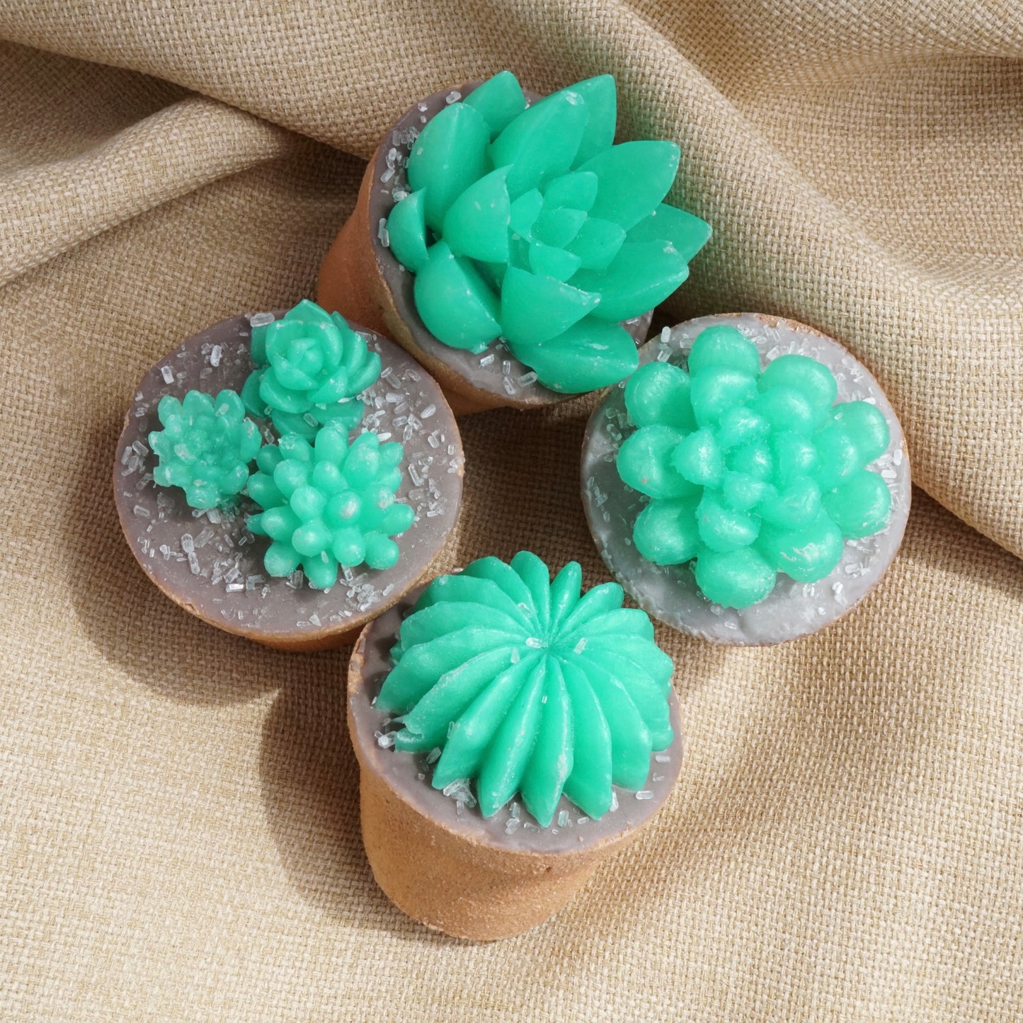 NEW Succulent Bath Bombs - Topped with Mini Soap, Cocoa Butter, Epsom Salt