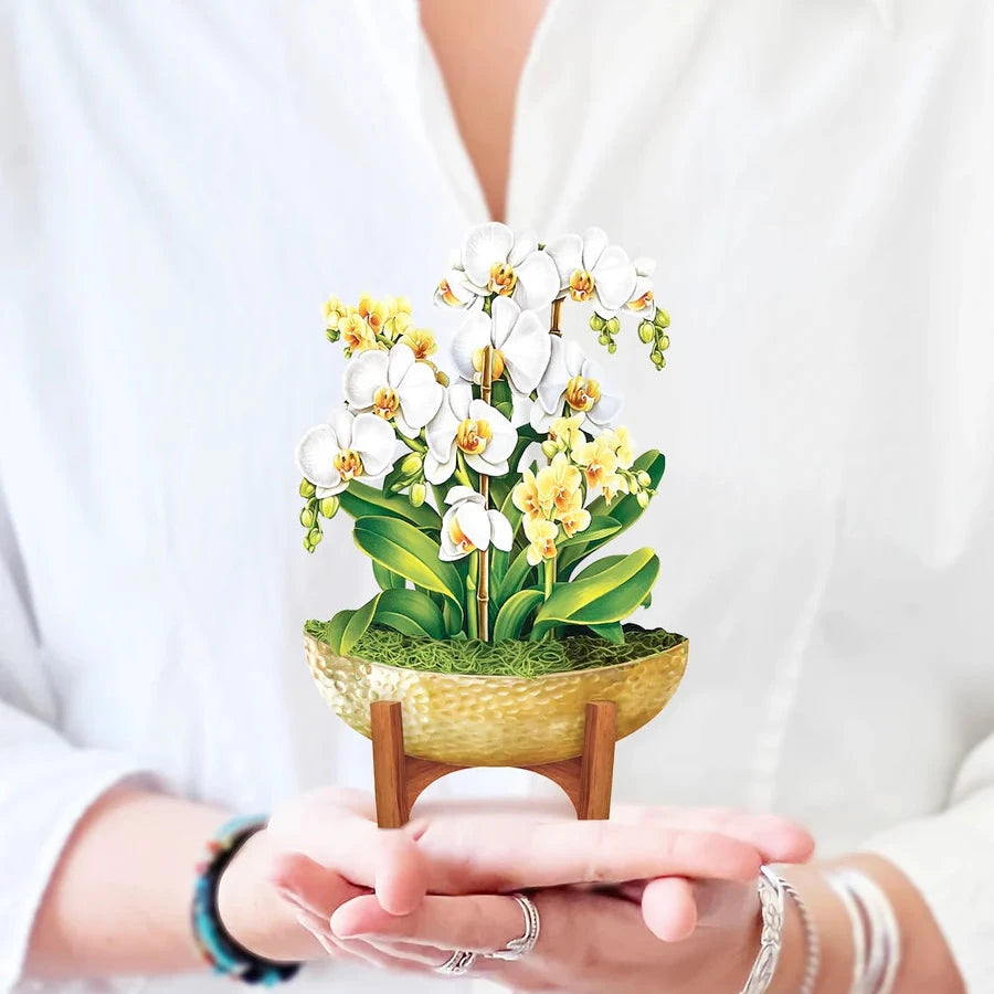 Mini Pop-up Flower Bouquets and Greeting Cards