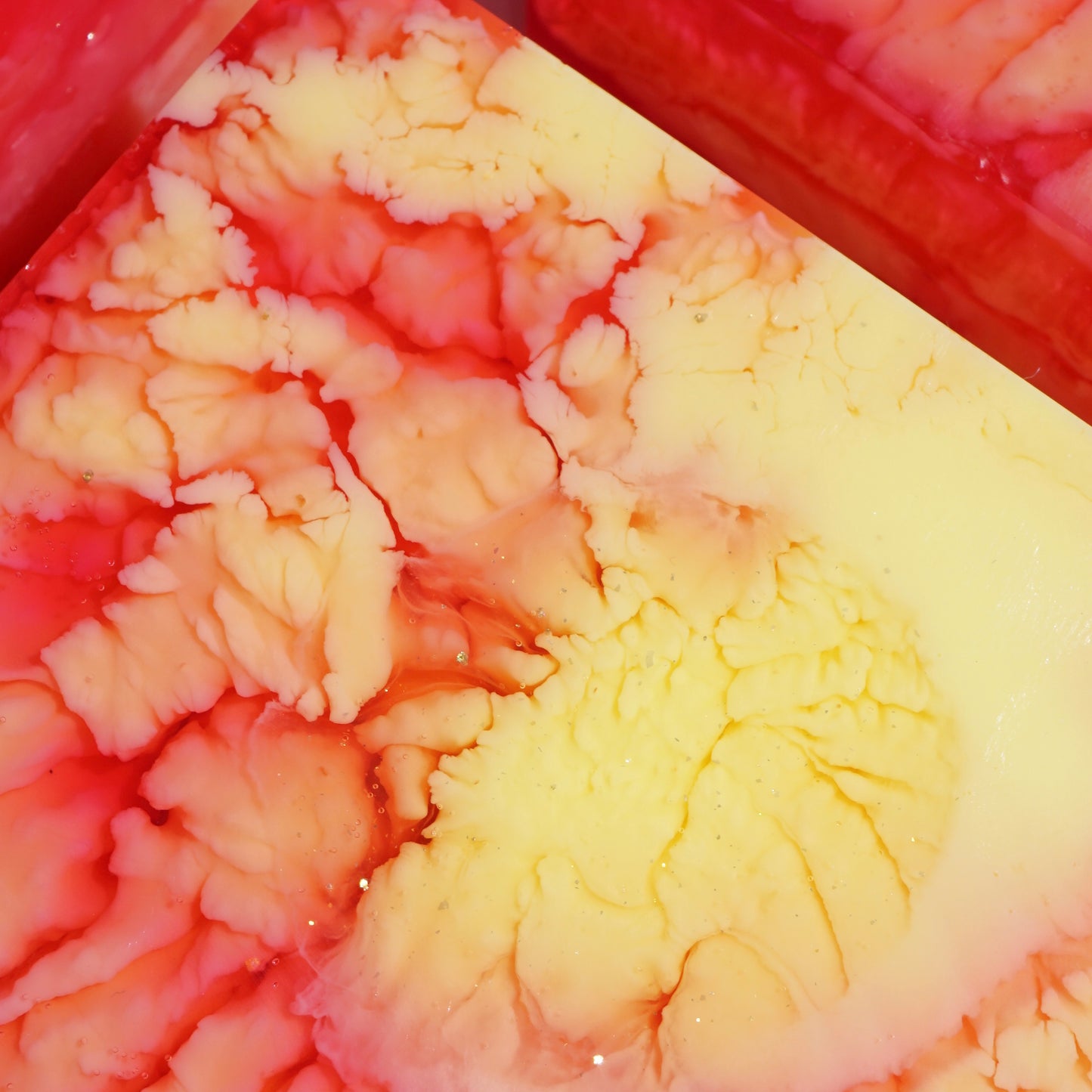 Pink Citrus Tie Dye Soap Soap