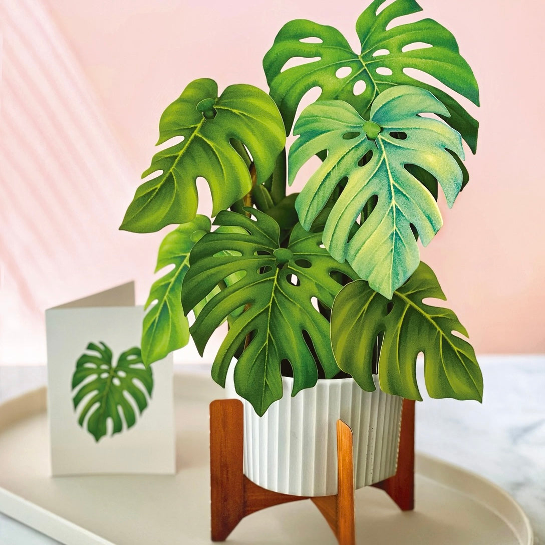 Pop-up Flower Bouquets and Greeting Cards
