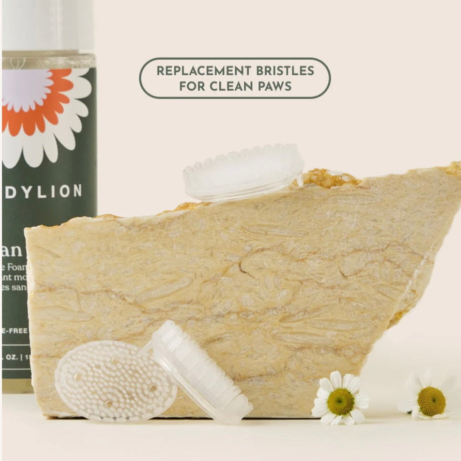 Clean Paws No-Rinse Foaming Cleanser for Dog Paws by DandyLion