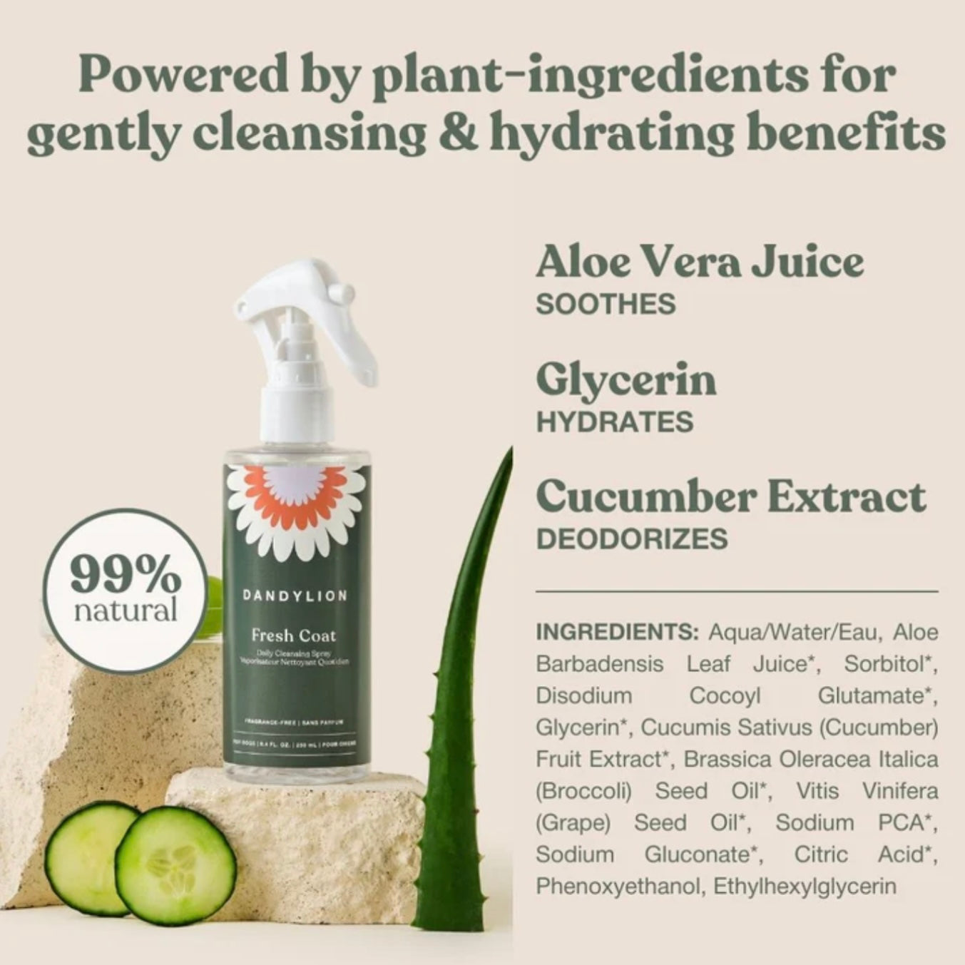 Fresh Coat Daily Cleansing Spray | Waterless No-Rinse Cleanser for Dogs by DandyLion