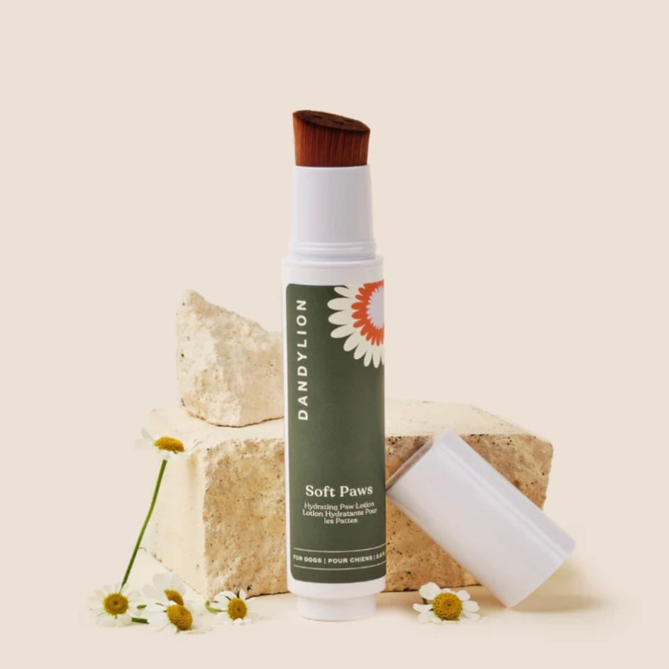 Soft Paws Hydrating Paw Lotion for Dogs by DandyLion