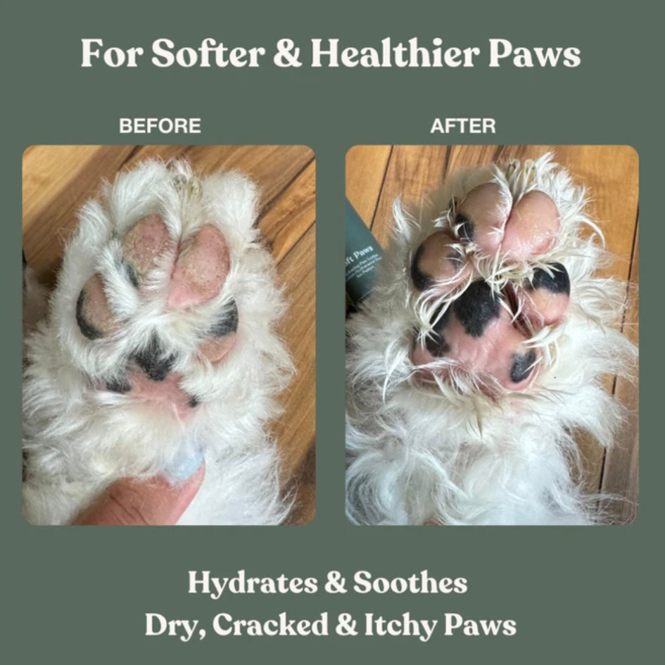Soft Paws Hydrating Paw Lotion for Dogs by DandyLion