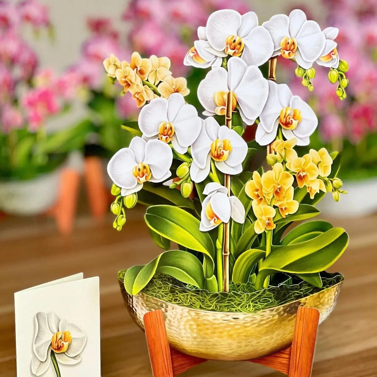 Pop-up Flower Bouquets and Greeting Cards
