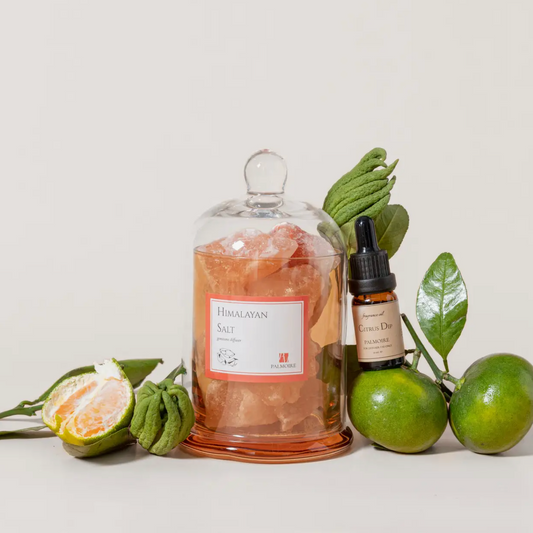SALE Himalayan Salt Gemstone Diffuser - Citrus, Jasmine, Sandalwood