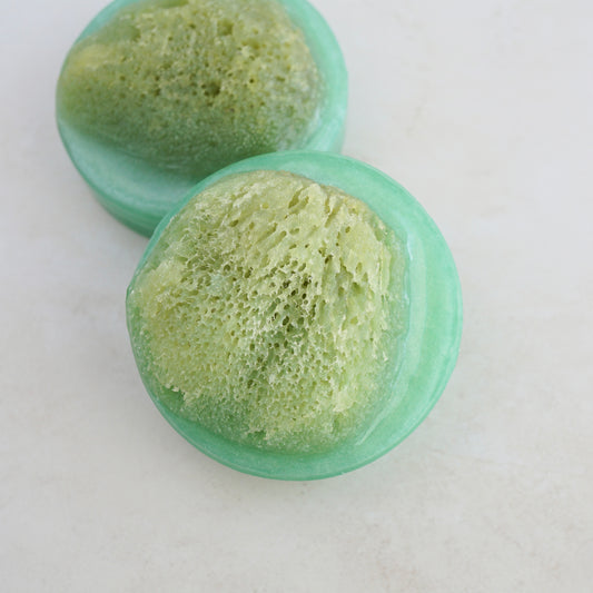 Bahamas Sponge Soap - Silk Sea Sponge in Glycerin Soap