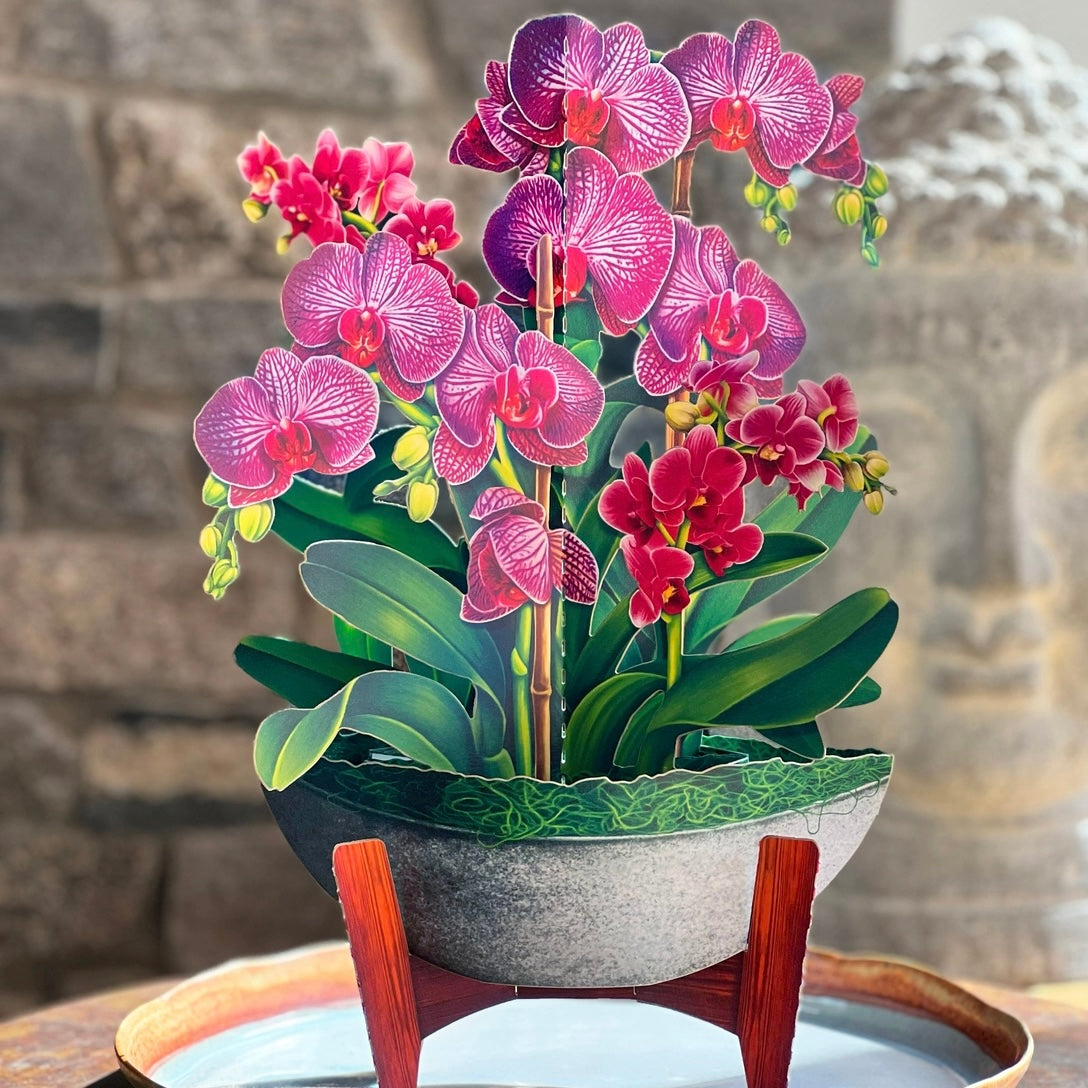 Pop-up Flower Bouquets and Greeting Cards