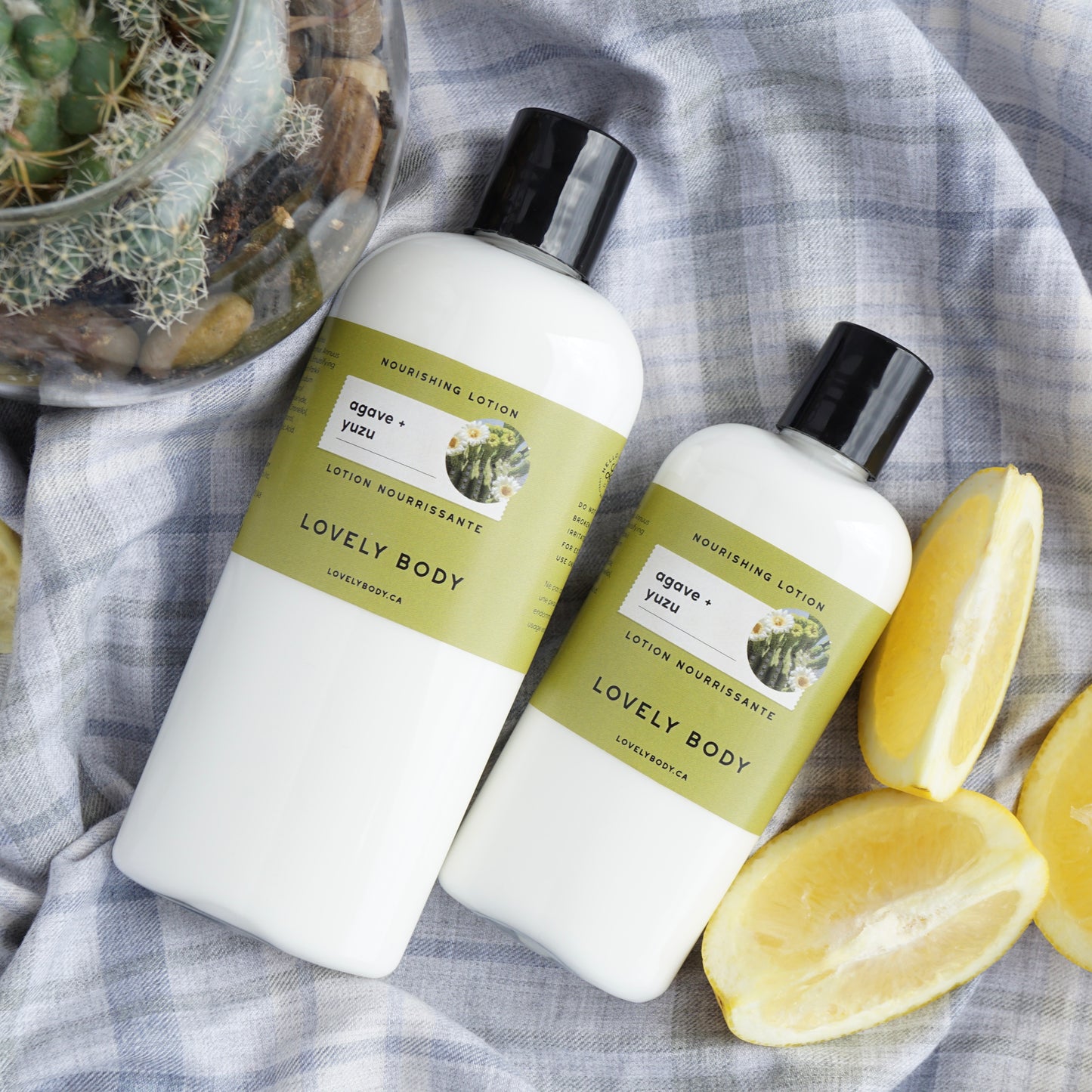 Agave + Yuzu Nourishing Lotion - NEW Fall Scent