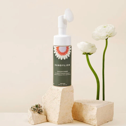 Clean Paws No-Rinse Foaming Cleanser for Dog Paws by DandyLion