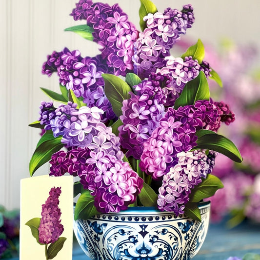 Pop-up Flower Bouquets and Greeting Cards