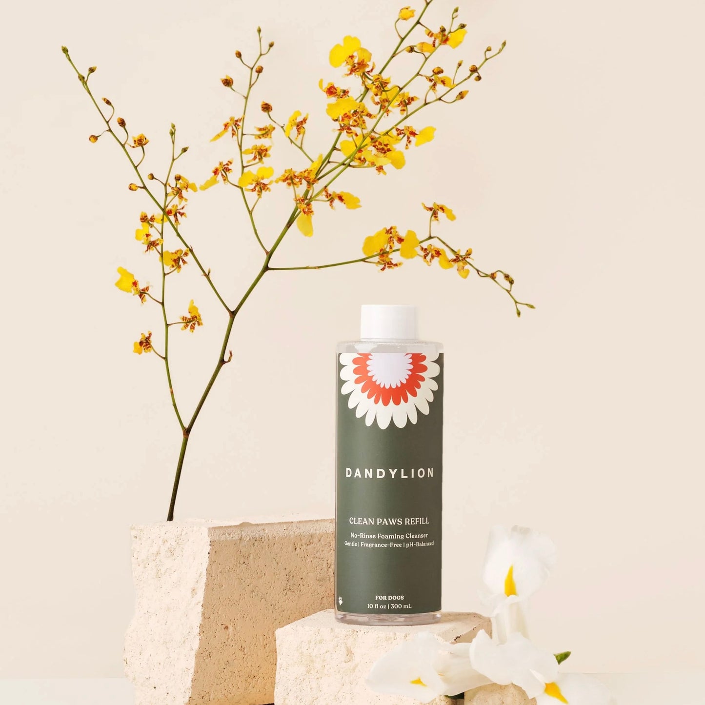 Clean Paws No-Rinse Foaming Cleanser for Dog Paws by DandyLion