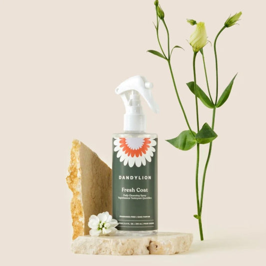 Fresh Coat Daily Cleansing Spray | Waterless No-Rinse Cleanser for Dogs by DandyLion