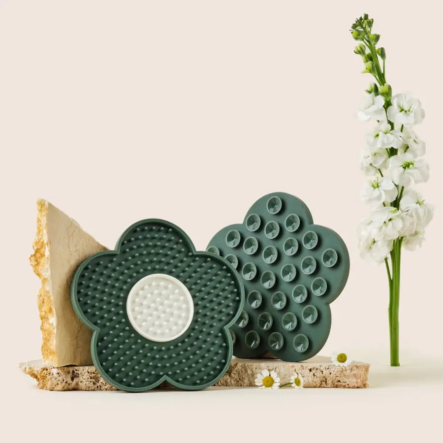 Silicone Dog Lick Mat by DandyLion