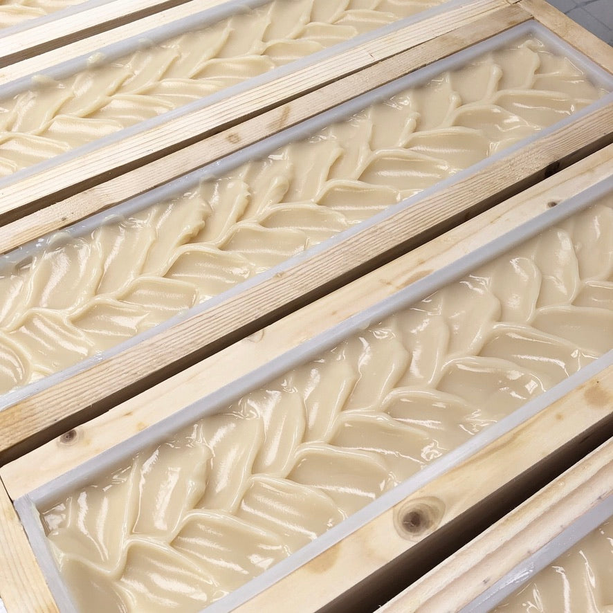 Rows of uncut soap in wooden molds. Soap is white with textured top.