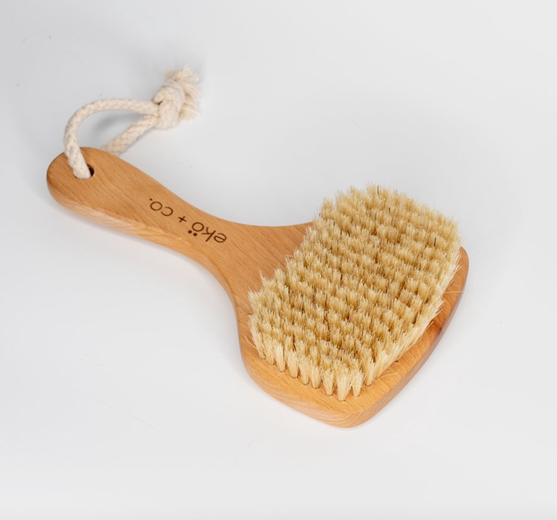 Sisal Agave Bristle Dry Brushes - With Sustainable Wooden Handles